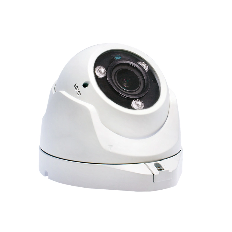 Full-Color Night Vision Outdoor Dome Network Camera CCTV Camera Price Support Microphone SD Card WDR