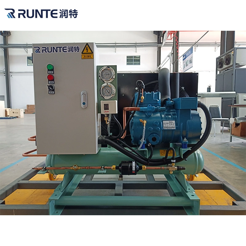 Runte Brand Walk in Cooler Factory Price Meat Blast Frozen Foods Freezing Room Cold Storage Single Compressor Condensing Unit with Bizter Compressor