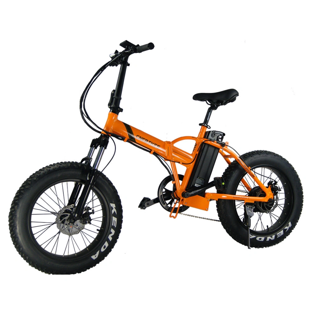 Sr20b 20inch 36V 350W Fat Tire Folding Ebike with 36V 11.6ah Battery Ebike