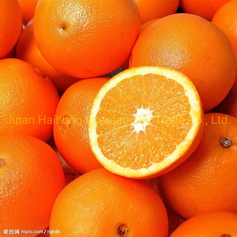 Neue Ernte Export Gute Qualität Chinesischen Frischen Navel Orange