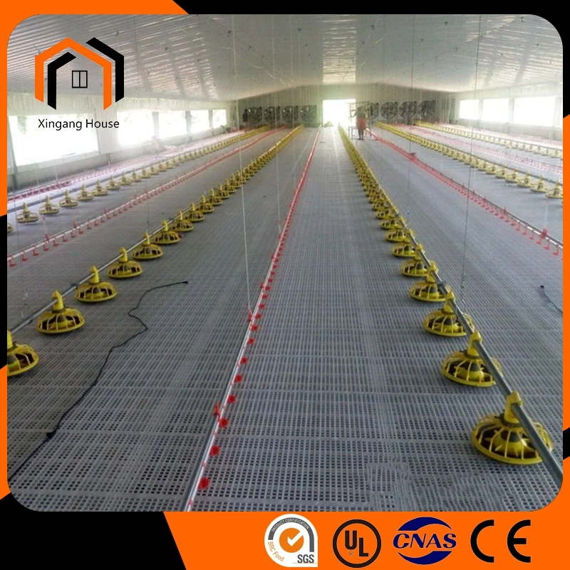 High quality/High cost performance  Sandwich Panel Color Tile Structural Steel Fabrication Egg Layer Farm House