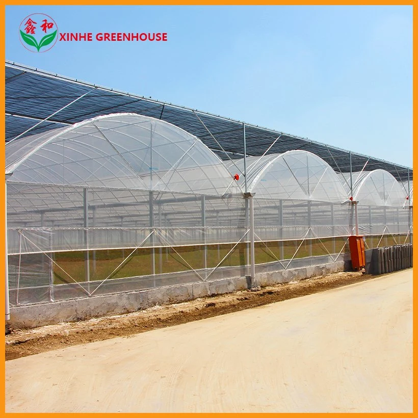 Lighting System Automated Light Deprivation Film Greenhouse for Growing Vegetables