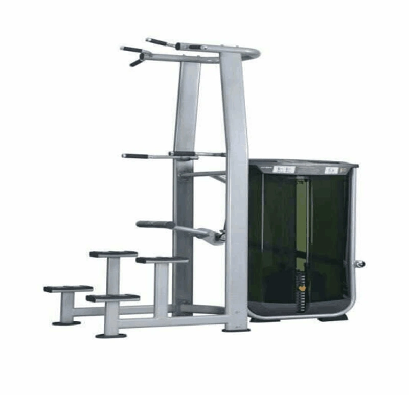 Corps de construction de l'équipement de Fitness Gym assistée Manufacturered Formateur de pull-up par Aoxinde Fitness (AXD7020)