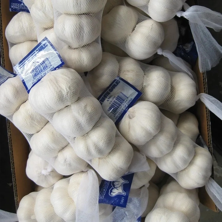 China/Chinese 4p Pure White Garlic Fresh Natural Garlic Price - New Crop Red Garlic Current Price