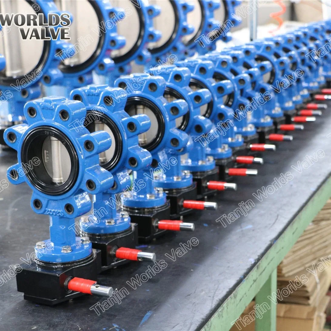 Full Lugged Butterfly Valve Cast Ductile Iron Body with Gearbox