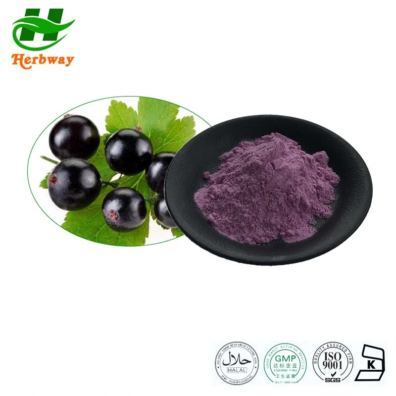 Herbway Kosher Halal Fssc HACCP Certified Anthocyanidins Black Currant Fruit Powder