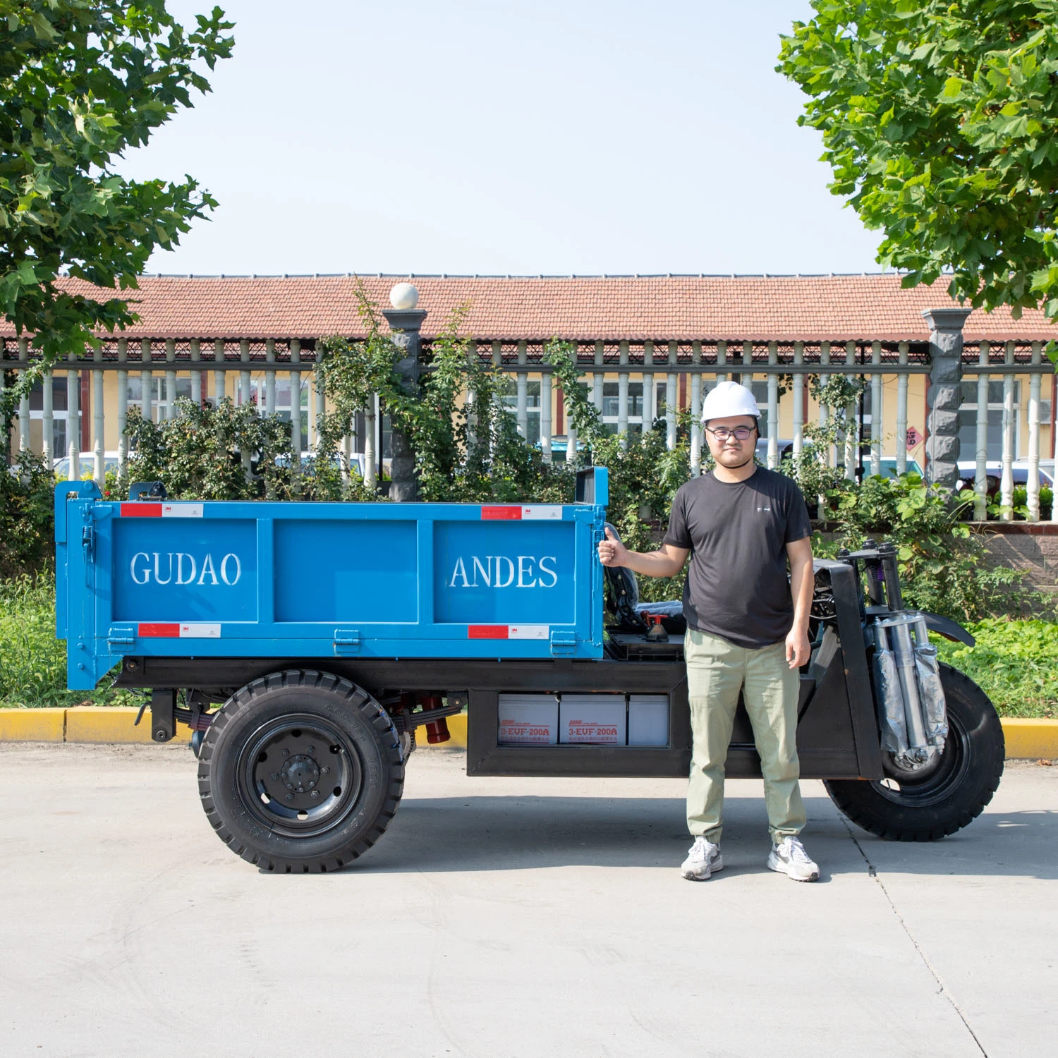 Bicicleta eléctrica adultos triciclo eléctrico scooters 3 ruedas para carga triciclo