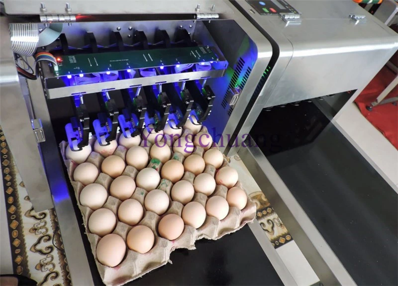 High quality/High cost performance Egg Inkjet Printer with 6 Nozzles and Conveyor