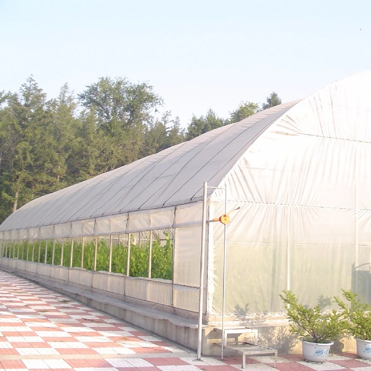 Single-Span Poly Tunnel Greenhouses with Galvanized Steel Structure