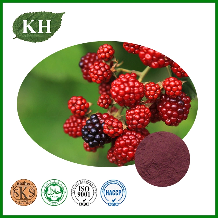 Raspberry Extract 5% Raspberry Ketone 20% 25% Anthocyanidins