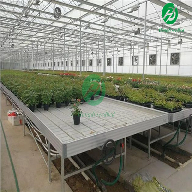 Drip Fertilization System Efficient Tool Seed Greenhouse Rolling Workbench with Hydroponic Tray