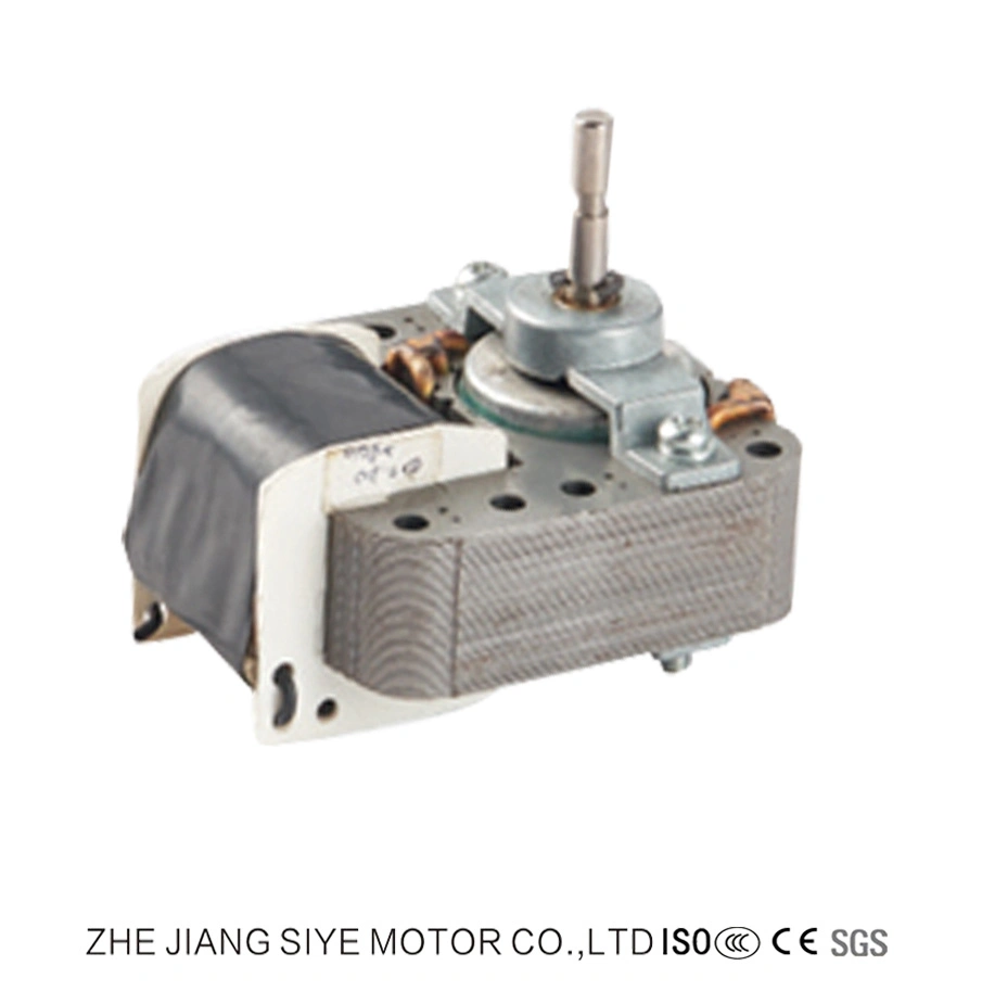 AC Einphasen 110V Elektromotor mit kleiner Leistung