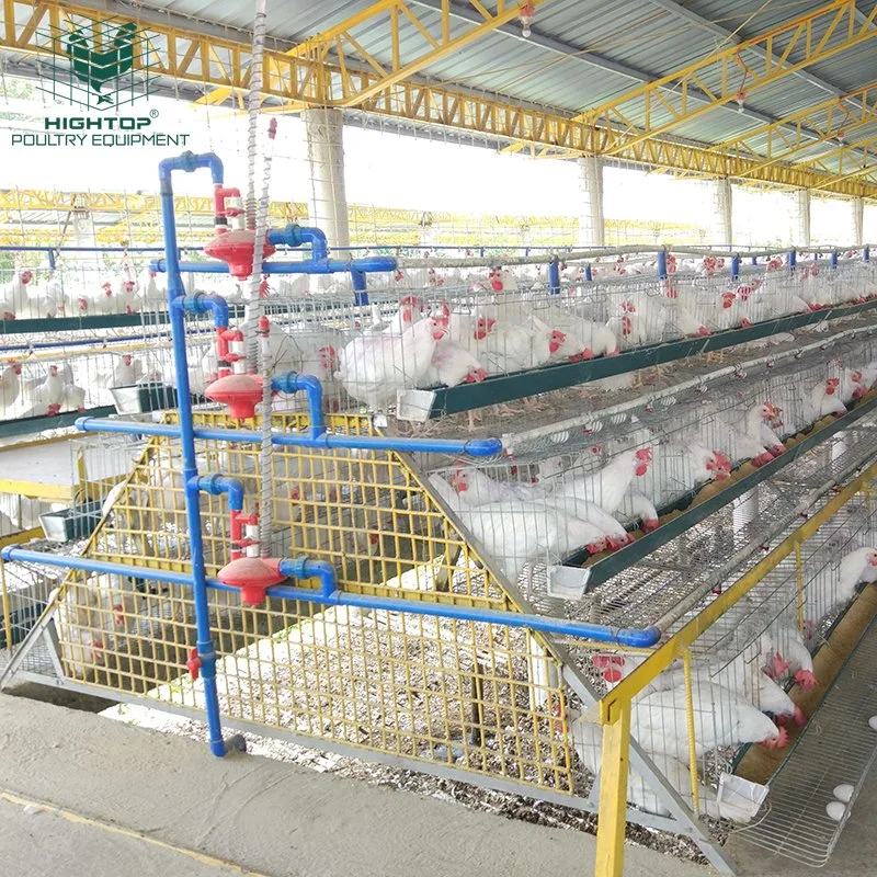 Configuração do pequeno preço barato de ovos de aves de camada de frango gaiolas a África do Sul