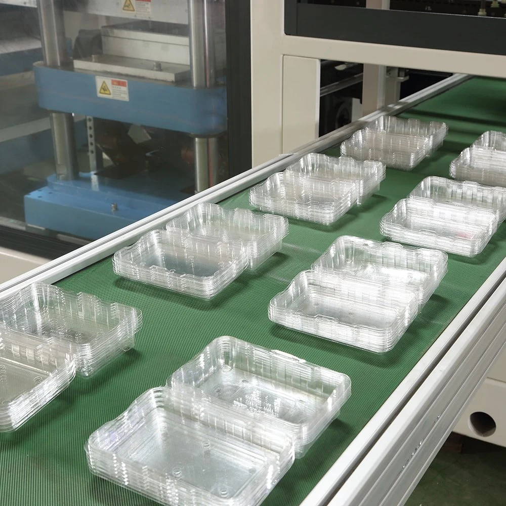 Fully Automatic Servo Drive System Thermoforming Machine and Molds Manufacturers for Biodegradable Container Packing Boxes