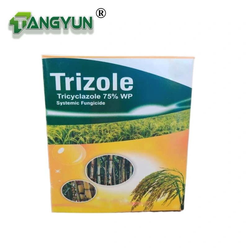 Fungicide Tricyclazole 9%+Kasugamycin 1% Wp Agrochemicals Fungicide