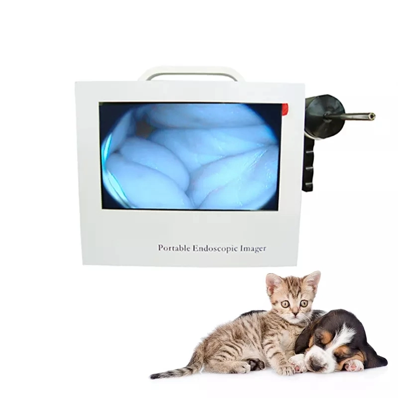 Médical animaux Vet Mini Ent otoscope caméra Prix portable Animal Kit d'otoscope vidéo vétérinaire