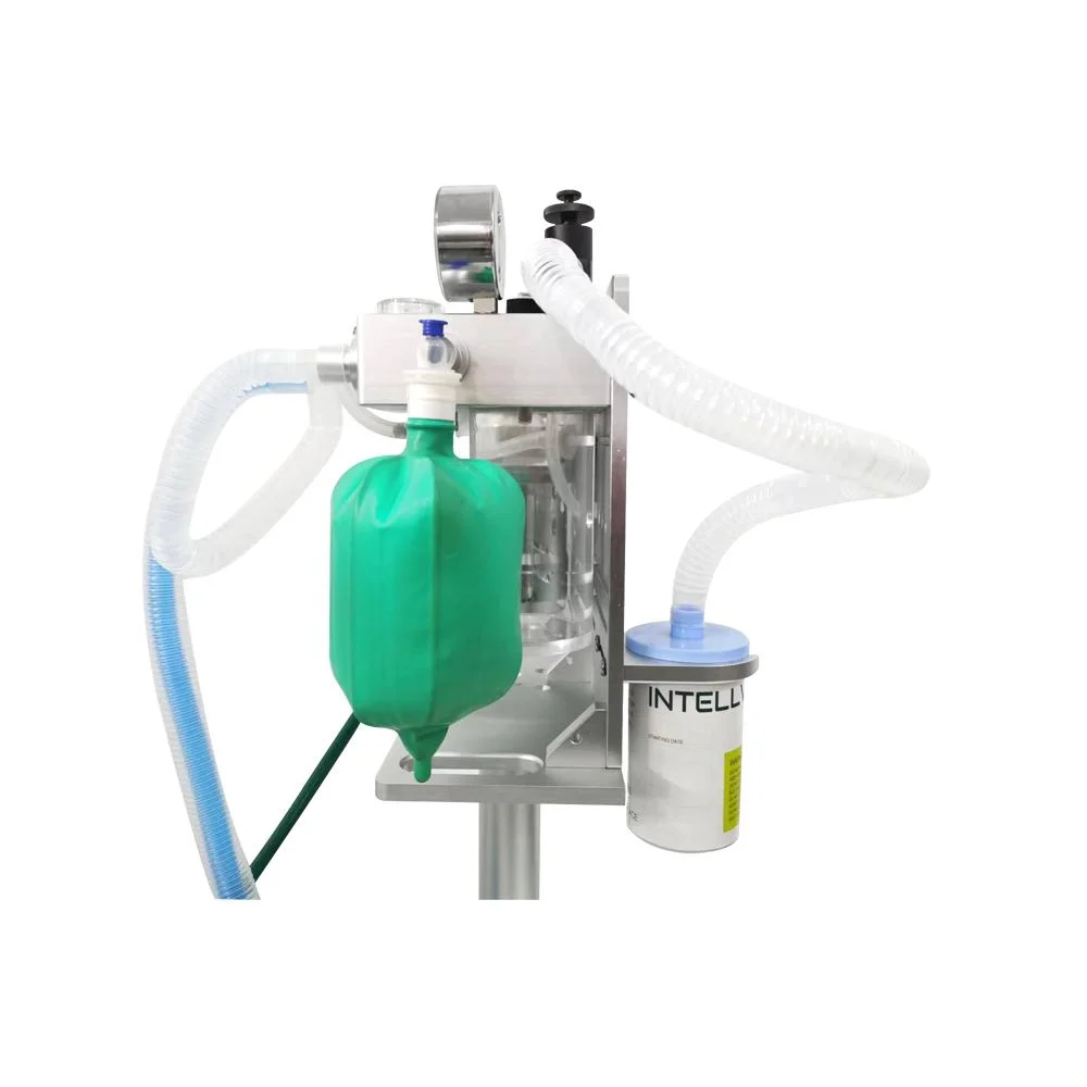 Veterinary Anesthesia Oxygen Machine Vet Dog Anesthesia Machine with Ventilator