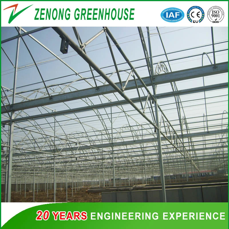 China Professional Multi-Span PE/Po Film Plastic Greenhouse for Hydroponic Growing/Experiment