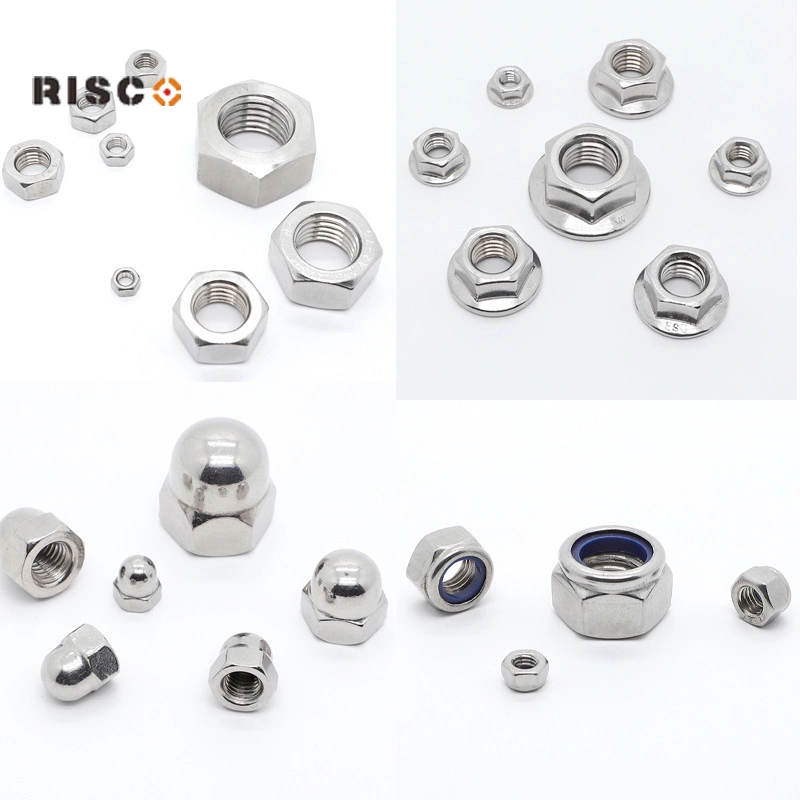 Stainless Steel 304/316 A2 A4 Manufacturer Customed Plastic Wing/Spring/Slotted/Square/Flange/Cap/Dome Nut Fastener