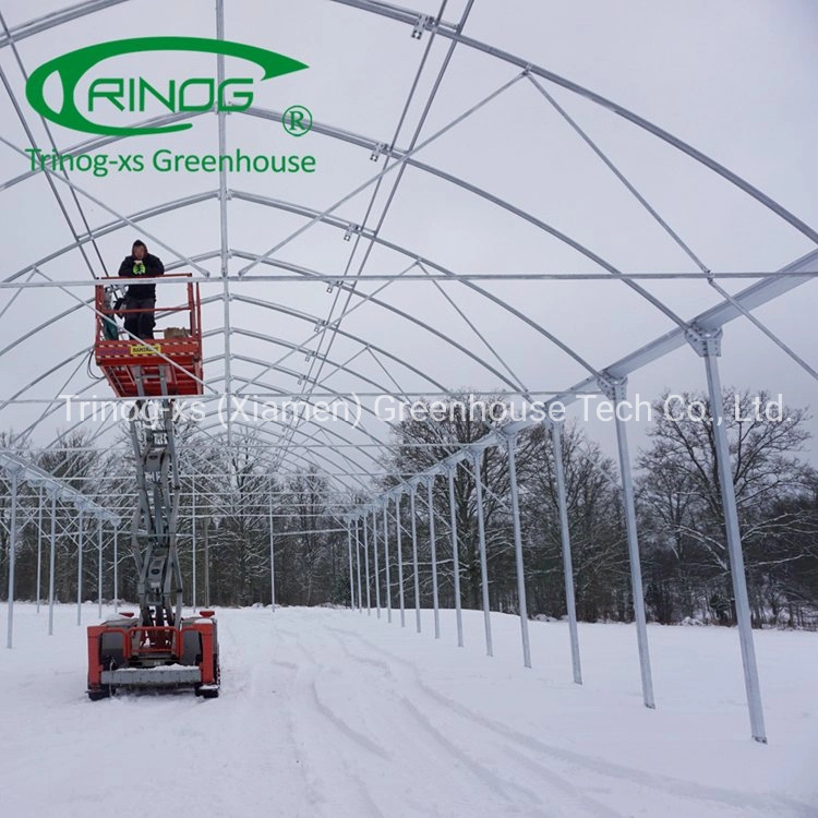 Trinog Greenhouse plastic film gothic roof vent poultry farm greenhouses for lettuce hydroponics