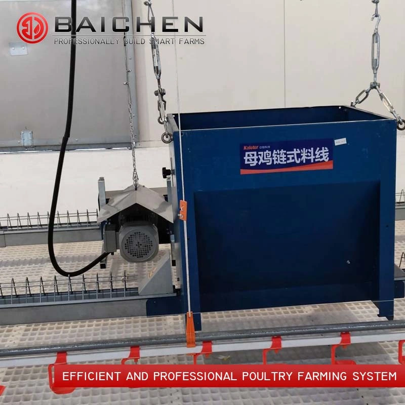 Automatic Poultry Chain Feeder Equipment Breeder Chickens Feeding Line Farm House System