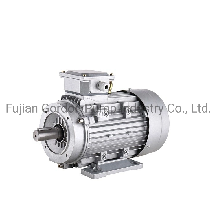 Aluminum Housing Three Phase Electric Motor