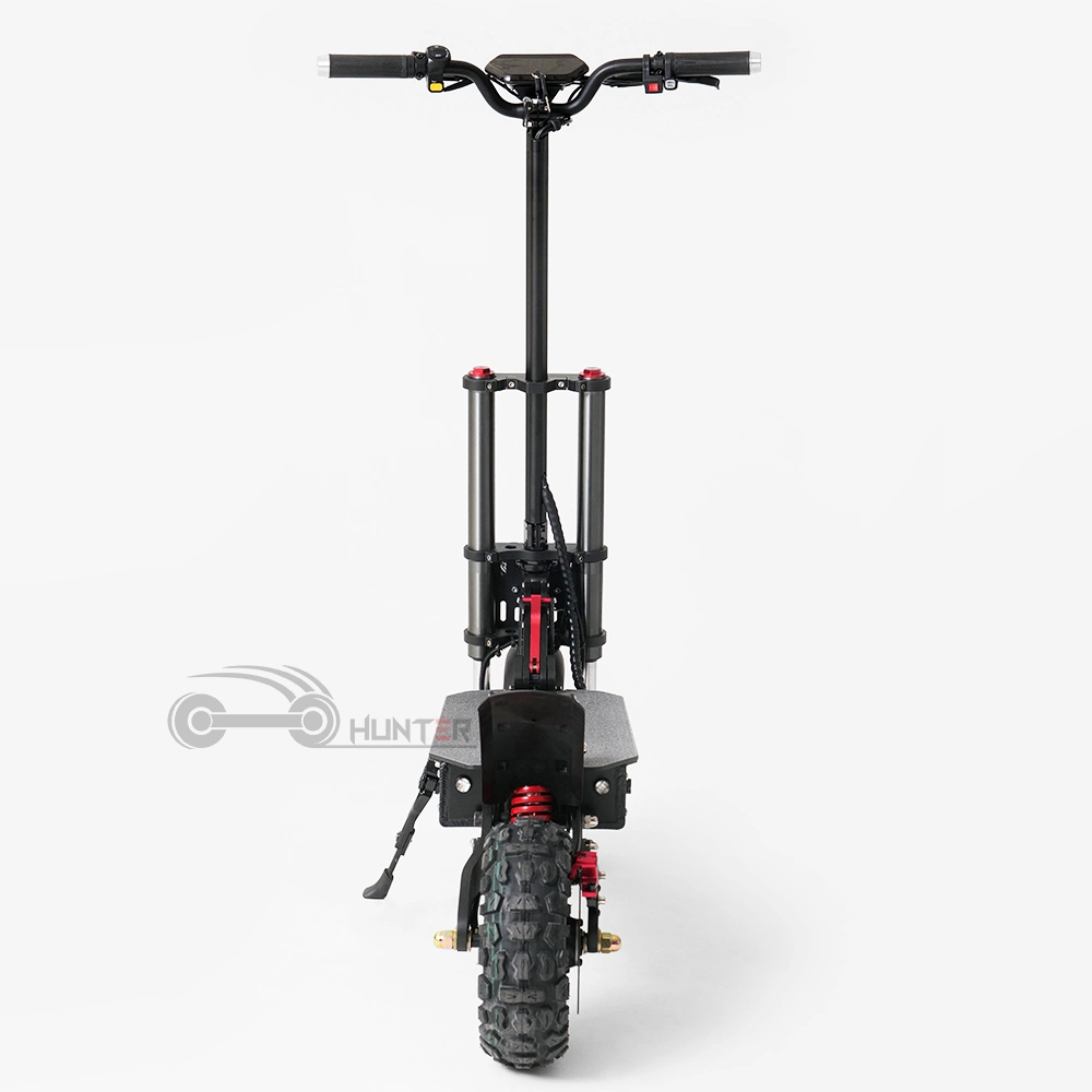 EEC Coc 1000W 1500W 2000W 2400W Citycoco Electric Scooter, 11 Inch