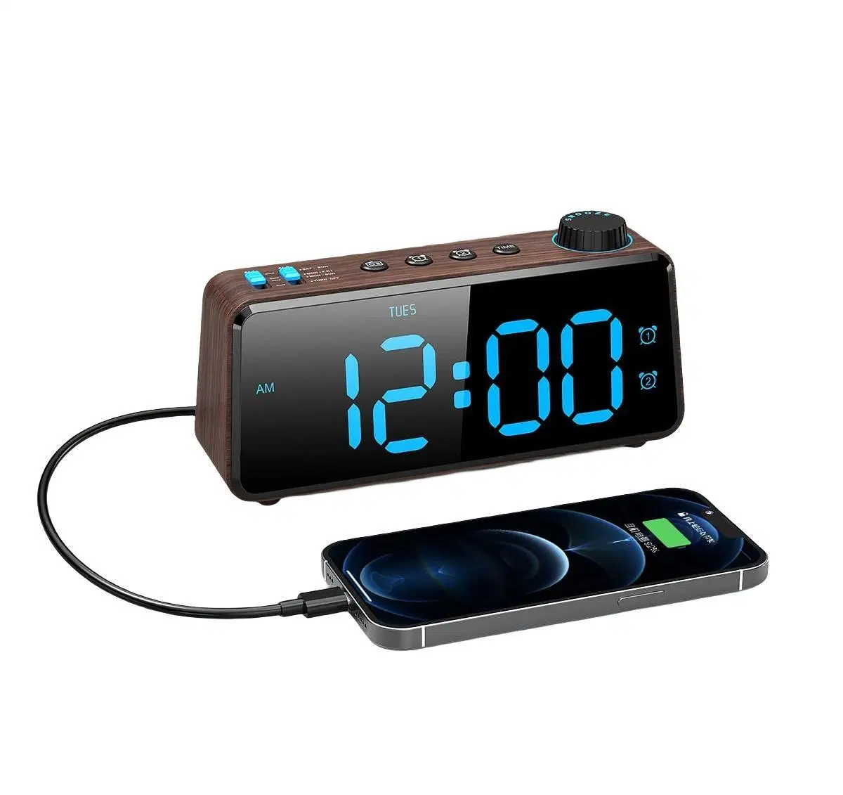 Digital Pll FM Radio USB Charging Dual Alarm Clock