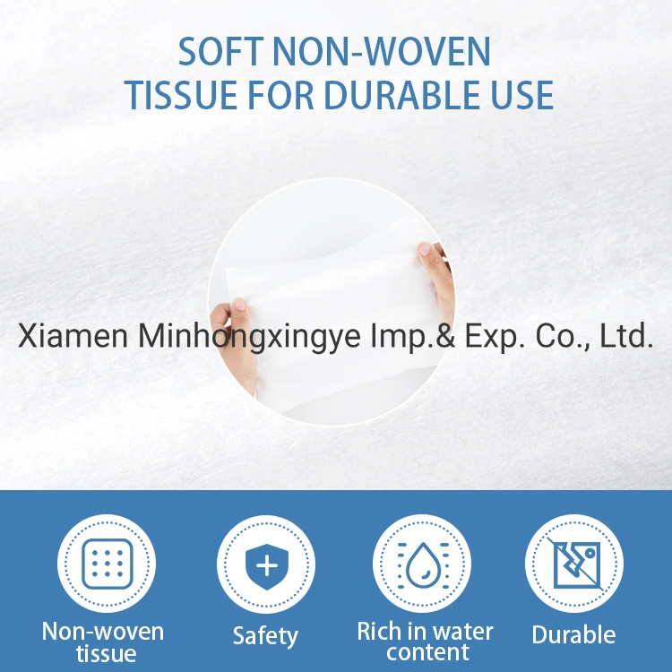 in Stock Pneumonia 75% Alcohol Antiseptic Disinfecting Germicidal Non-Woven Wet Wipes