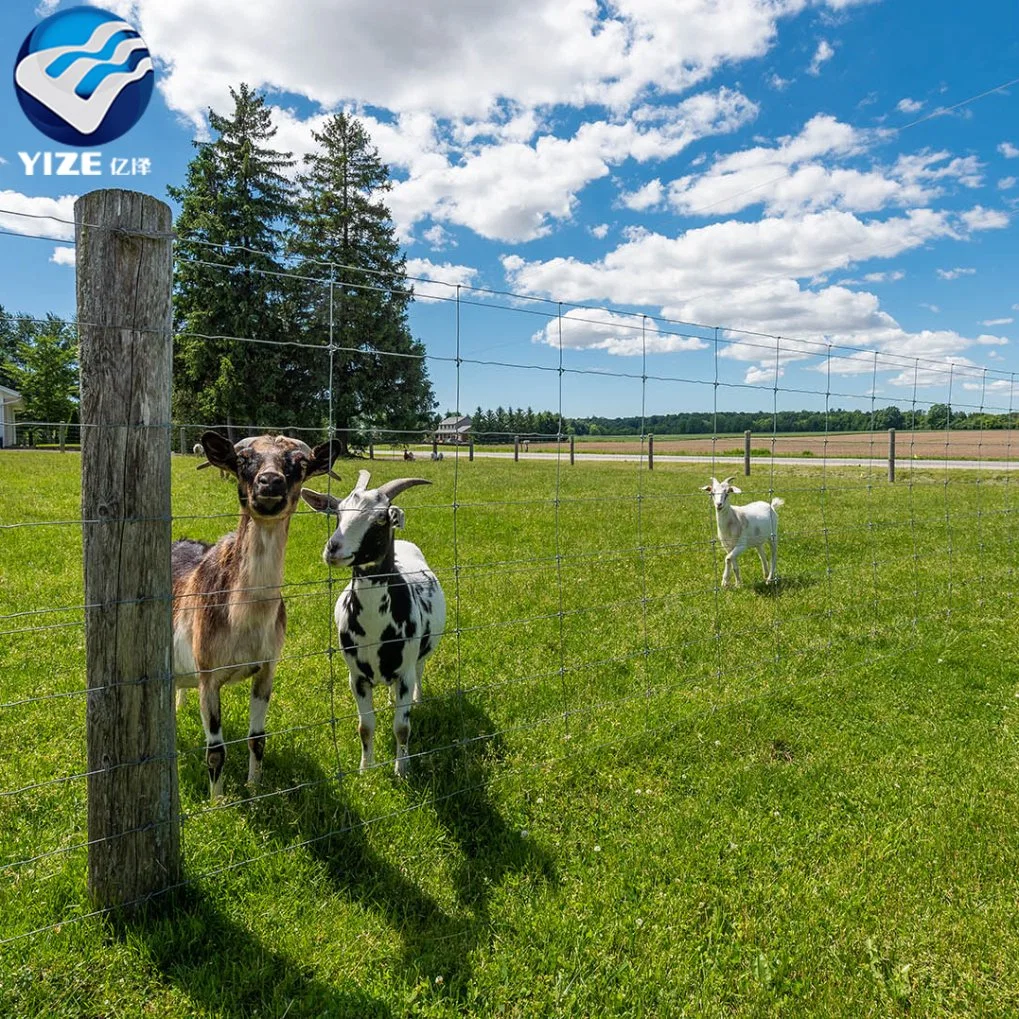 Hohe Zugspannung Verzinkter Draht Mesh Geflügel Vieh Schafe und Ziegen Bauernhof Zaun Gewofener Hirsch Bauernhof Zaun