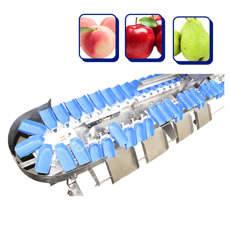 Automatic Weight Sorting Machine Fruit Weight Sorting Machine