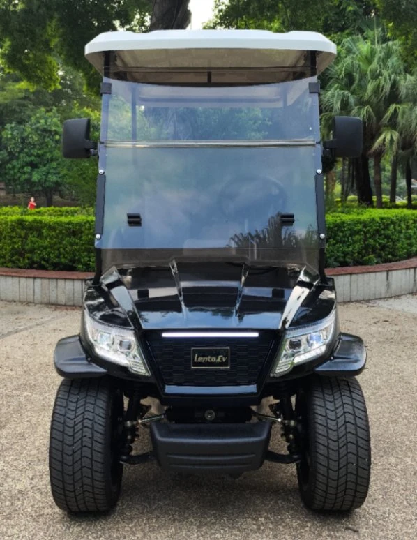 Loja e Atacado Golf Carrinho 2 lugares fora da estrada Sightseeing Carro de golfe elétrico com bateria de lítio