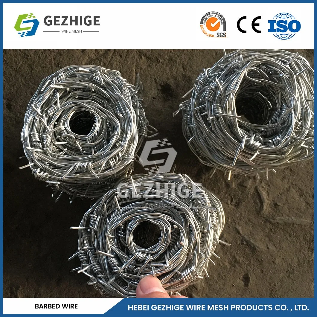 Gezhige 100m Barbed Wire Factory 65mm Barb Length 12 Swg Galvanized Barbed Wire China 8.1096 Stab Distance Chain Necklace Barbed Wire