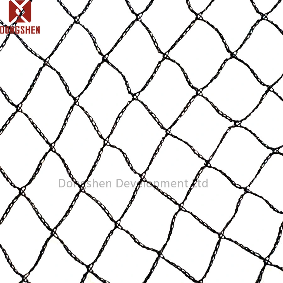 Anti Bird Netting cultures de plantes de jardin baies protection de jardin HDPE Diamond Filet d'oiseau avec UV