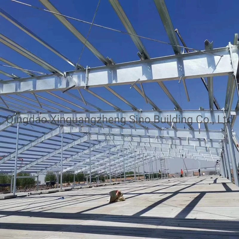 China Construction Fast Installed Light Steel Structure for Poultry Pig Cow Shed