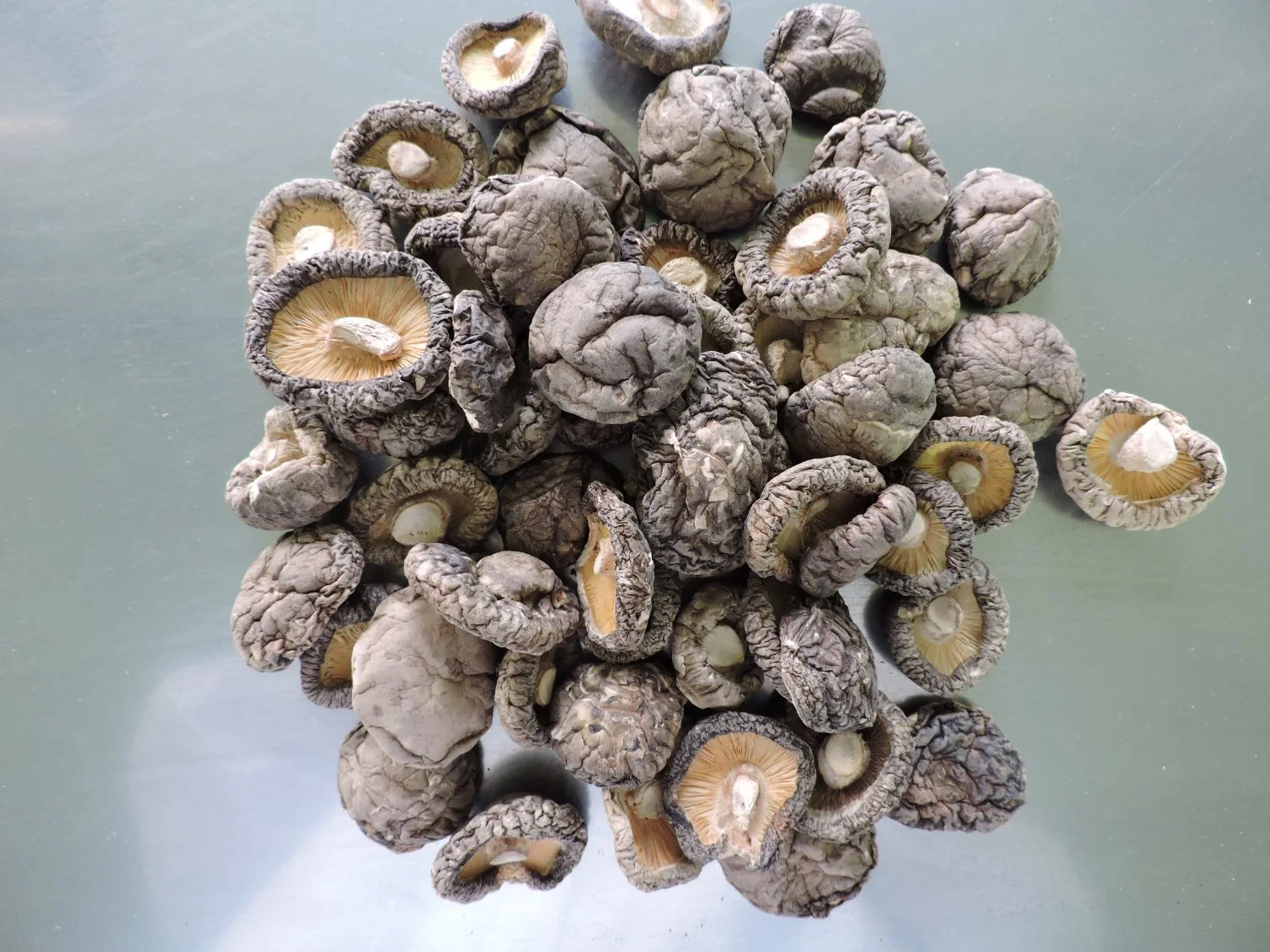 Dried Shiitake Mushroom Whole Wholesale/Supplier