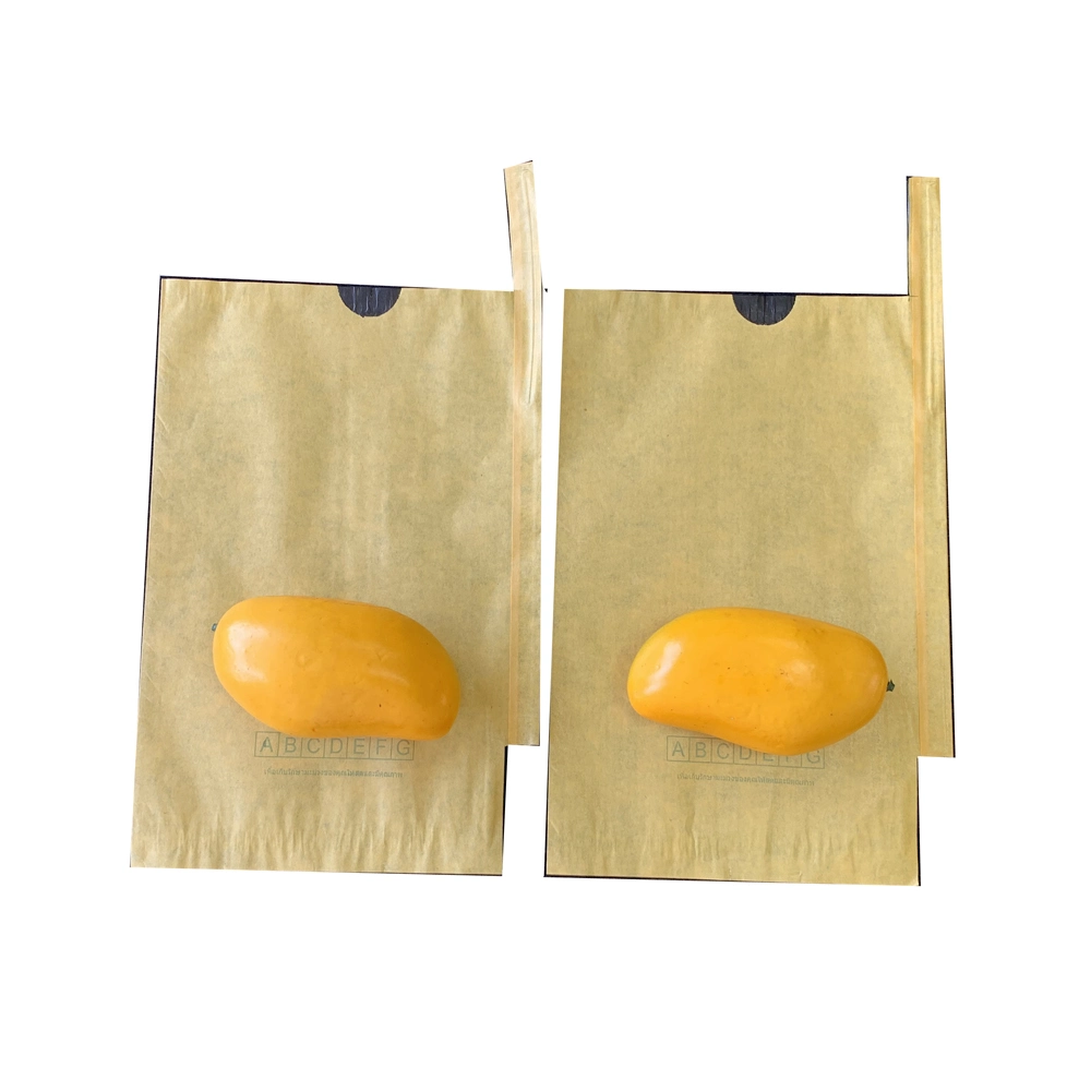 Water Proof Anti Aging Composite Paper Different Fruits Protection Paper Bag