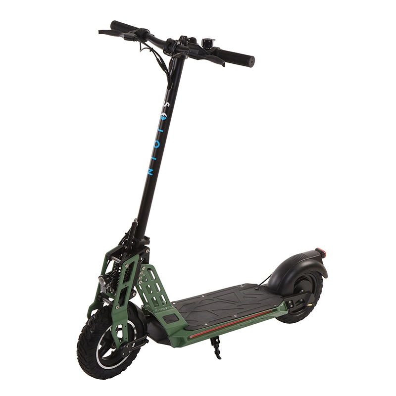 48V 500W Elektro-Fahrrad-Roller mit Lithium-Batterie