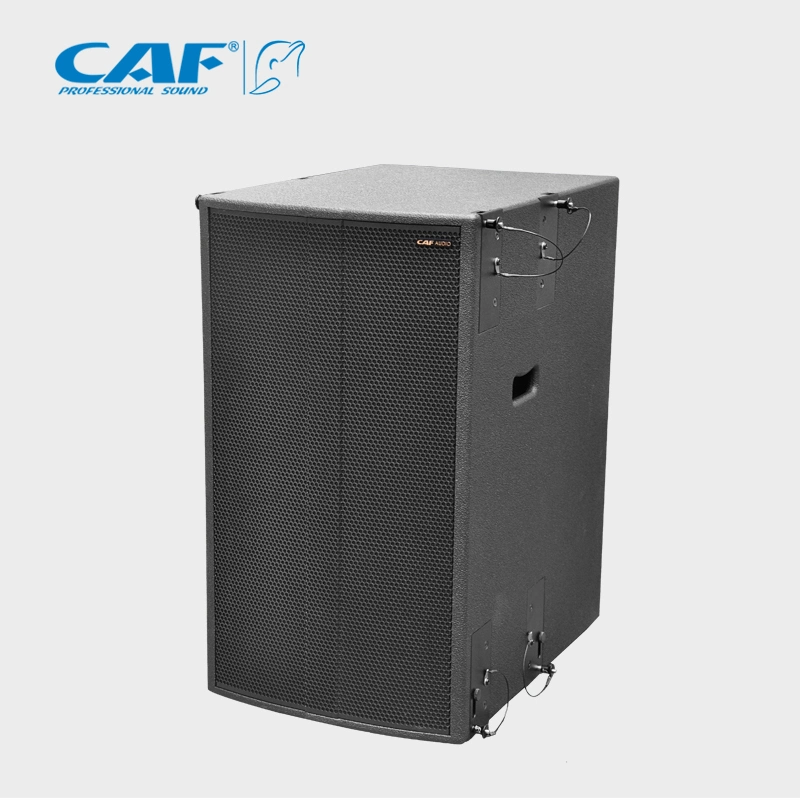 صوت مجموعة سماعة مصفوفة الصوت عالي الجودة Vs-808 Professional Audio Line Array المعدات