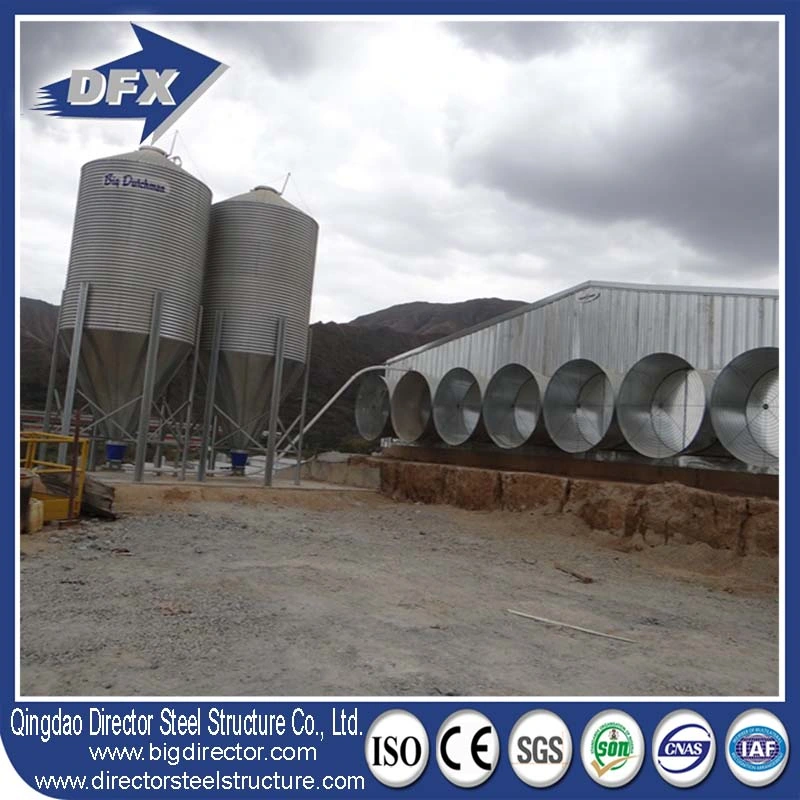 Import China Frame Poultry Farm Steel Structure Chicken House