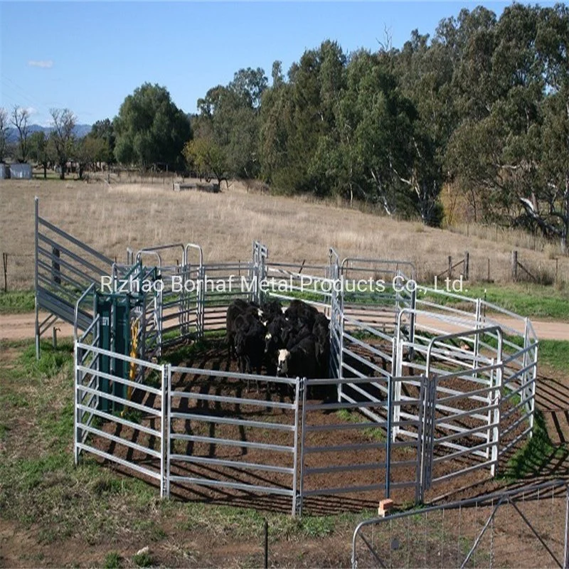 Equipo ganadero galvanizado DIP caliente de servicio pesado Panel de patio de ganado /Puerta