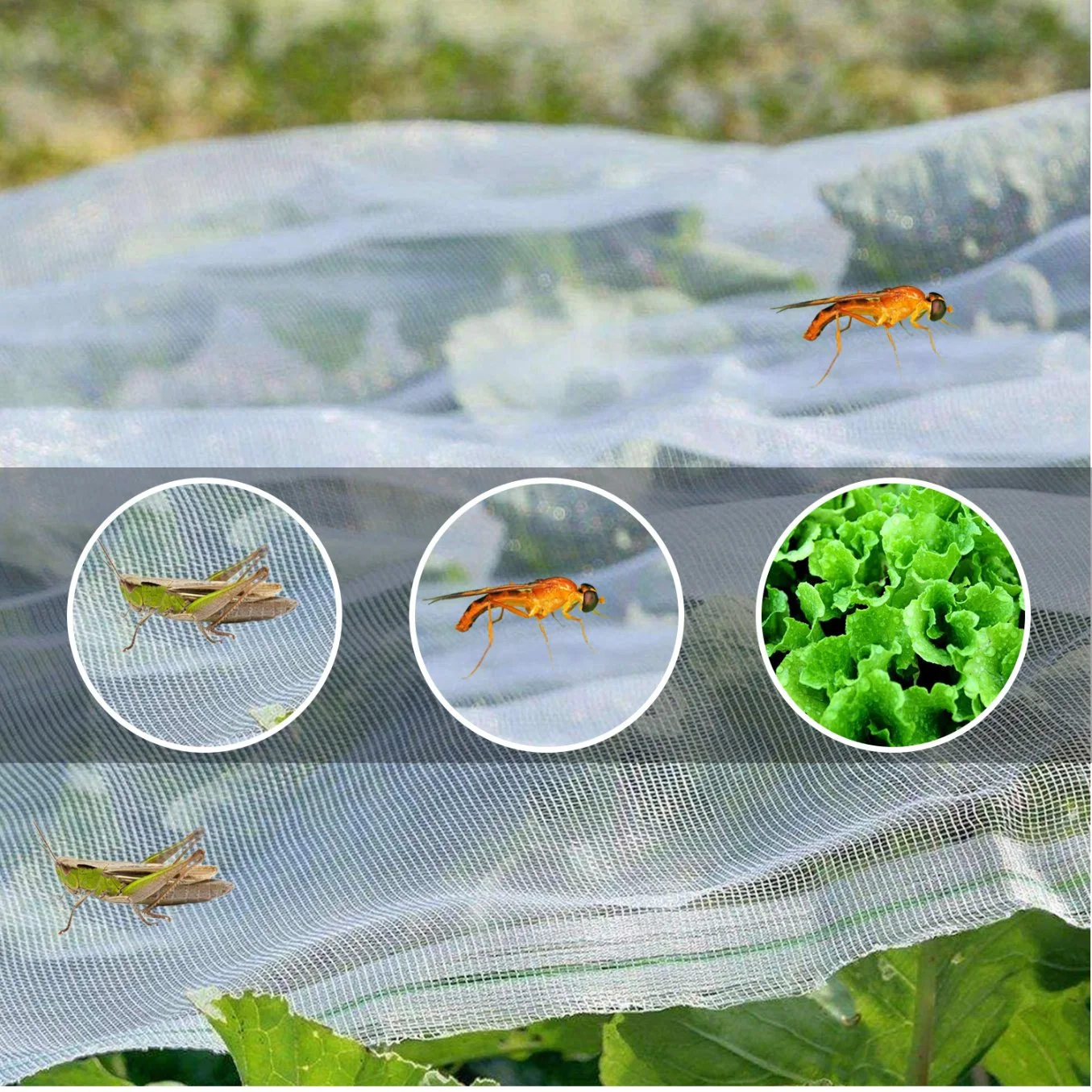 HDPE de gases de efecto neto de insectos Anti