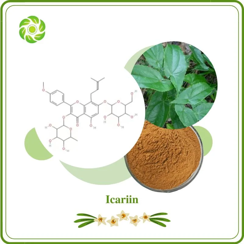 10%-98% Icariin Epimedium Extract Horny Goat Weed Extract Cosmetic Pharmaceutical Grade