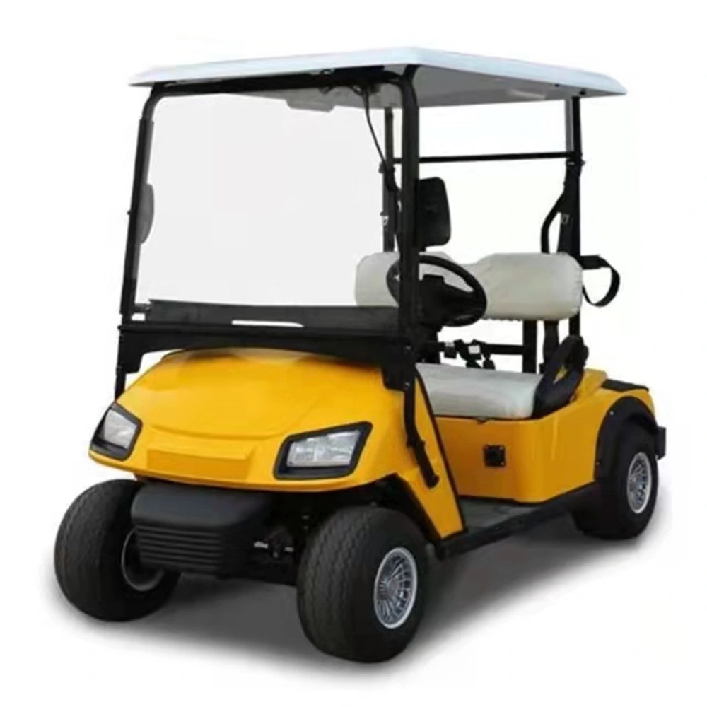 Factory Export CE Certificated 2seater Golf Cart Electric Golf Buggy Electric Vehicle