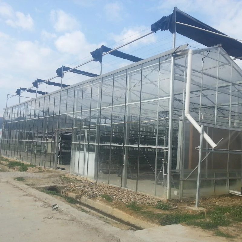 Multi-Span Poly Carbonate Agricultural Greenhouse for Tomato/ Cucumber/ Lettuce/ Pepper Planting