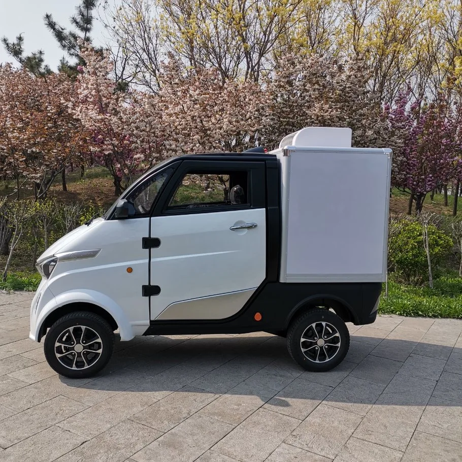 Chinese Electric Truck Electric Cargo Van 4 Wheel Electric Car with EEC Certification Without Driving License