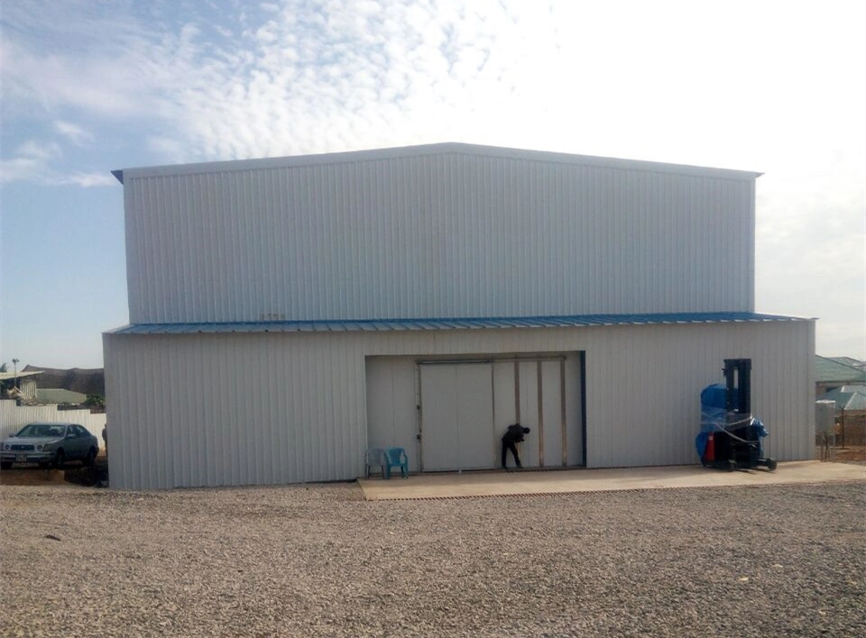 Estructura metálica diseñada previamente almacén frío Edificio Coldroom