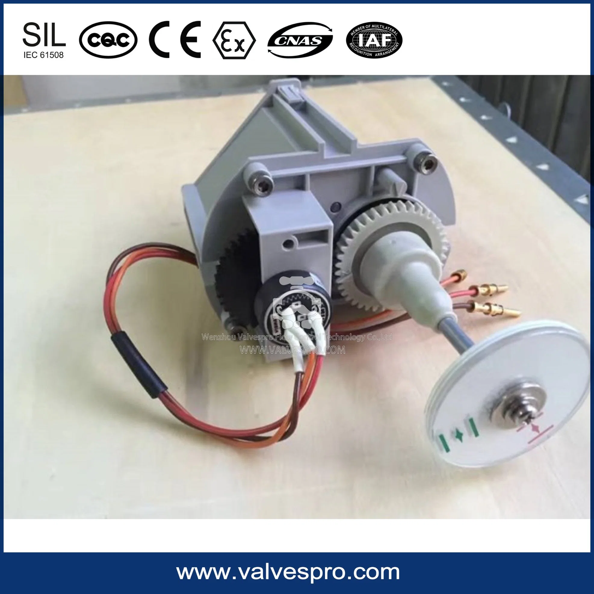 Sipos Electric Actuator Control Panel /Power Panel /Display Screen etc.