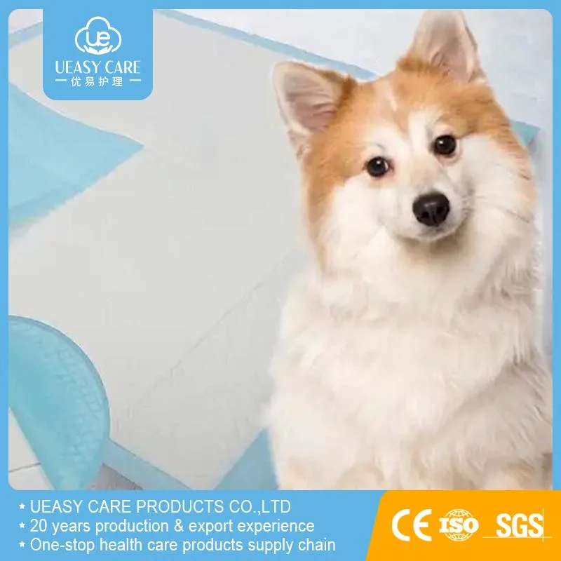 Produit de formation pour chiens de chiots personnalisé OEM Super Dog PEE jetable Animaux