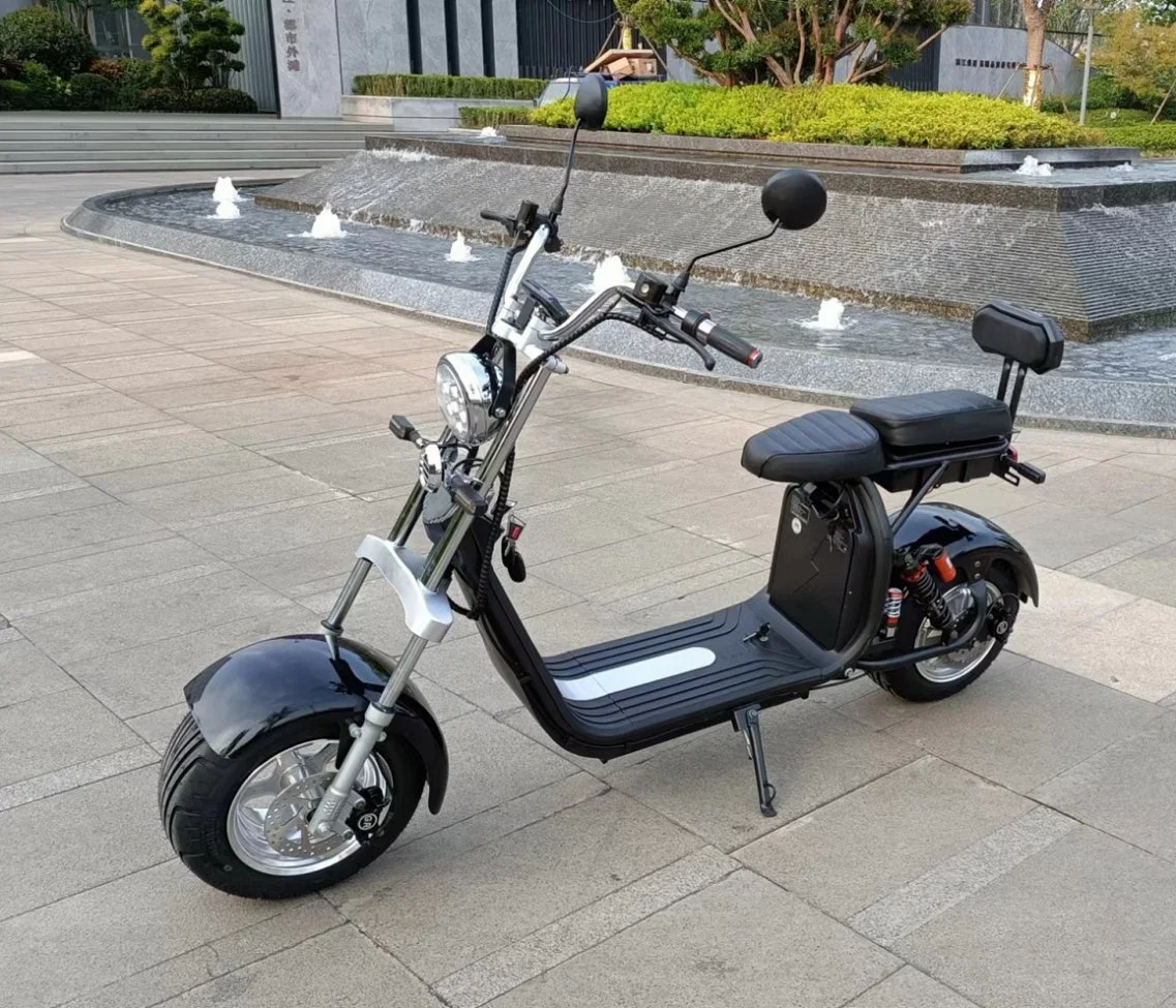 Scooter électrique Wellsmove Vente à chaud CEE/COC Citycoco 1500/2000W Vélo électrique